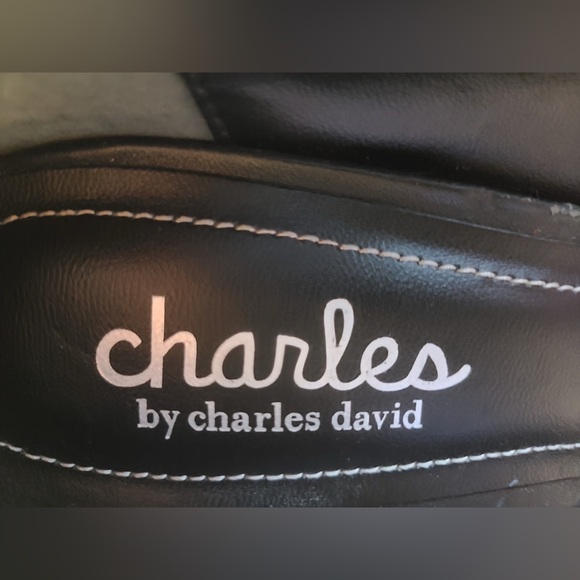 NWOT, CHARLES DAVID, MULTI-COLOR, POINT-TOE PUMPS, SZ 7.5 - Picture 12 of 15